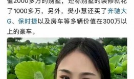 樊小慧爆料视频大全最新,揭秘背后惊人真相